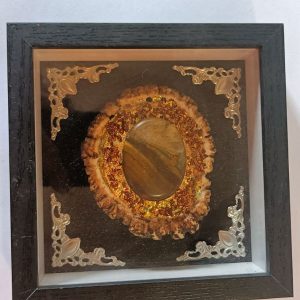 Shadow boxes with elk buttons