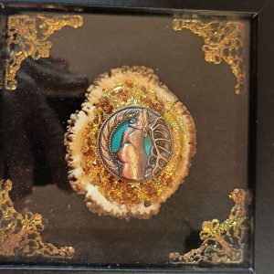 Shadow boxes with elk buttons